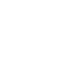 Nouveau-Entrant